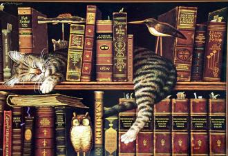 /Files/images/13_veresnya/cat.jpg